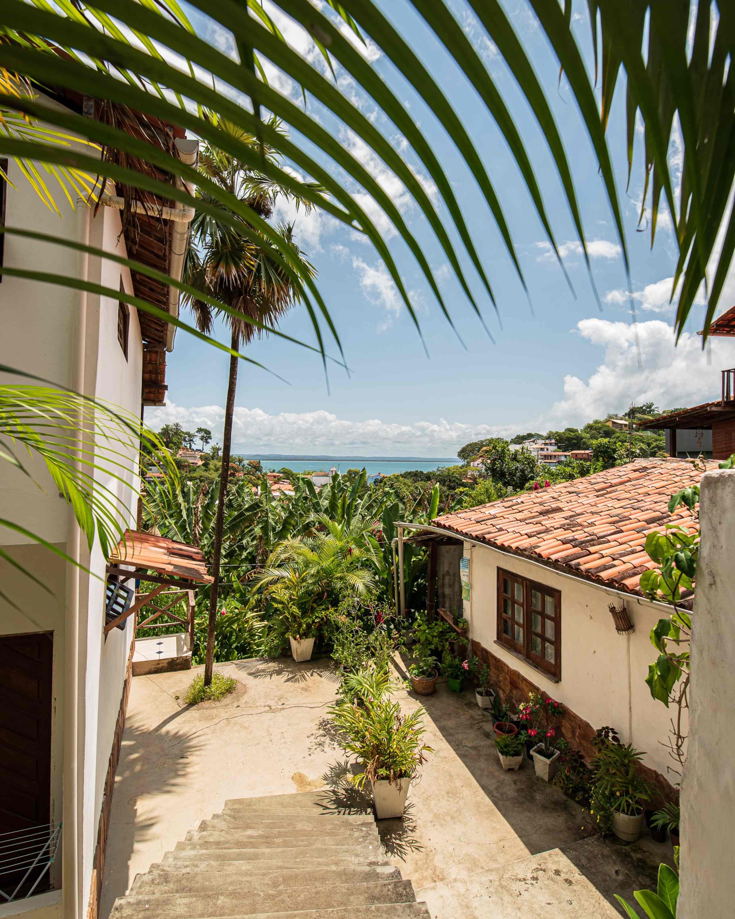 Vista do quintal das Casas Quintal com escadaria, vegetação tropical e mar ao fundo